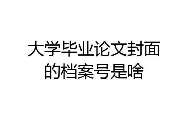 大学毕业论文封面的档案号是啥