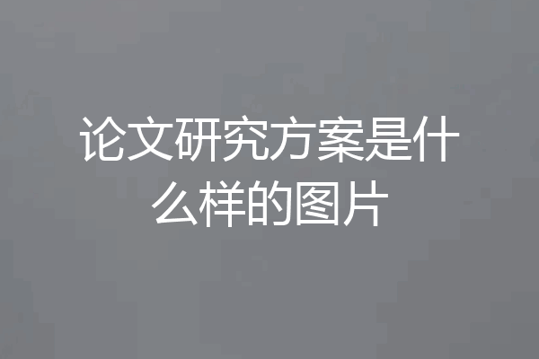 论文研究方案是什么样的图片