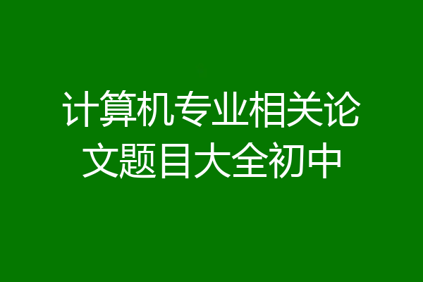 计算机专业相关论文题目大全初中