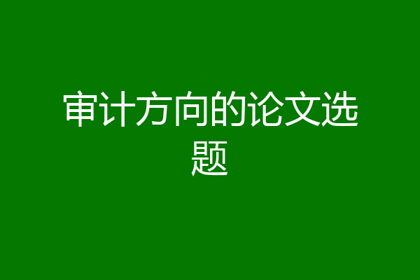审计方向的论文选题
