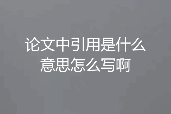 论文中引用是什么意思怎么写啊