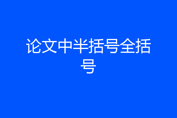 论文中半括号全括号