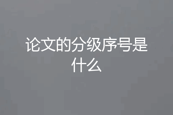 论文的分级序号是什么