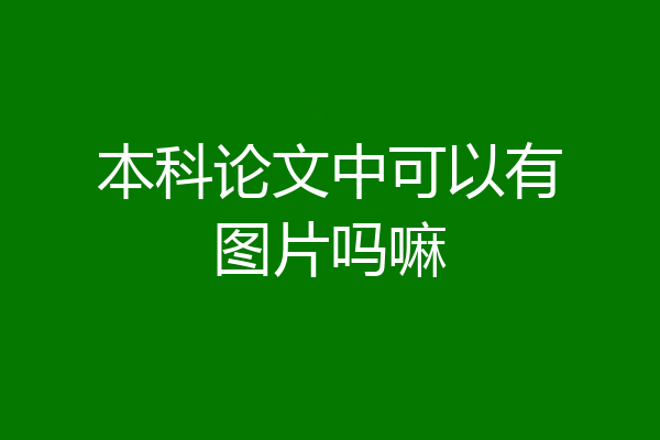 本科论文中可以有图片吗嘛