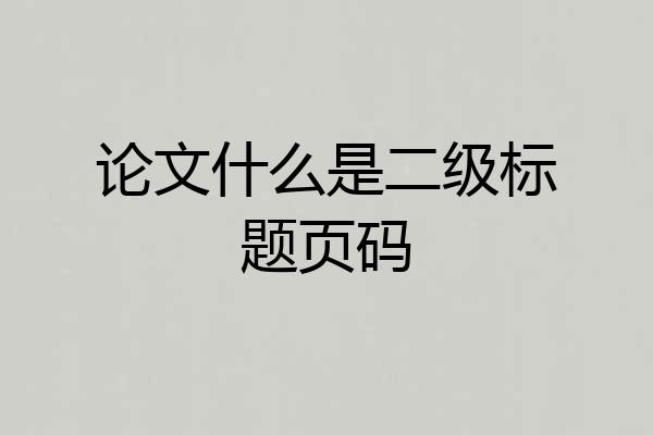 论文什么是二级标题页码