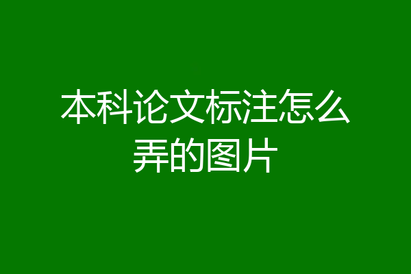 本科论文标注怎么弄的图片