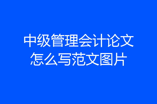 中级管理会计论文怎么写范文图片