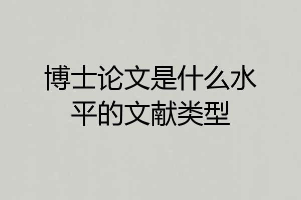 博士论文是什么水平的文献类型