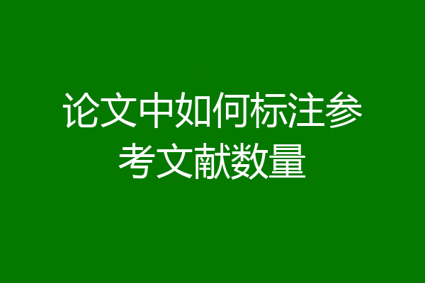 论文中如何标注参考文献数量