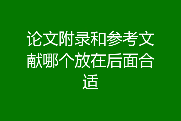 论文附录和参考文献哪个放在后面合适