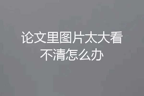 论文里图片太大看不清怎么办
