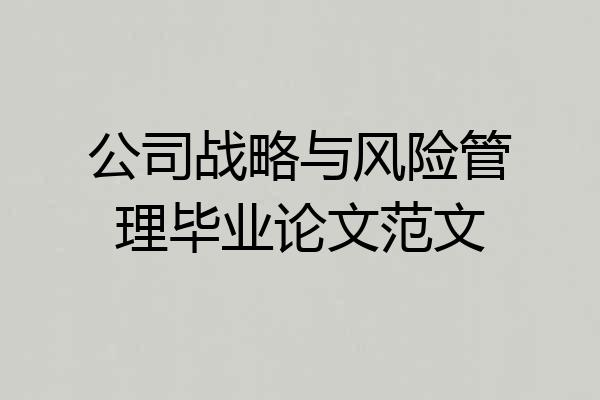 公司战略与风险管理毕业论文范文