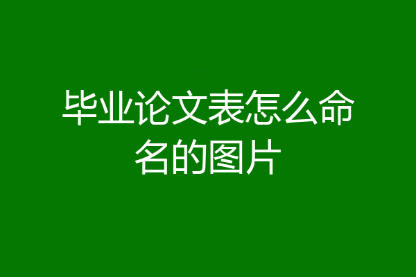 毕业论文表怎么命名的图片