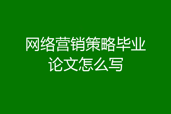 网络营销策略毕业论文怎么写