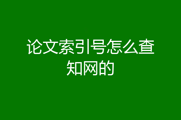 论文索引号怎么查知网的