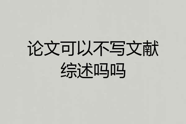 论文可以不写文献综述吗吗