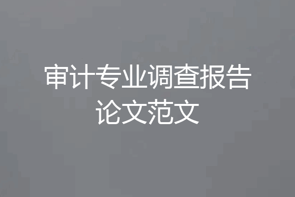 审计专业调查报告论文范文