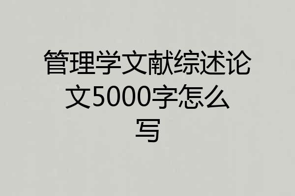 管理学文献综述论文5000字怎么写