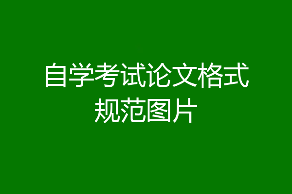 自学考试论文格式规范图片