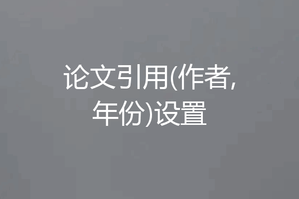 论文引用(作者,年份)设置