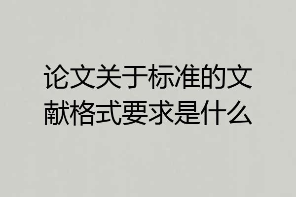 论文关于标准的文献格式要求是什么