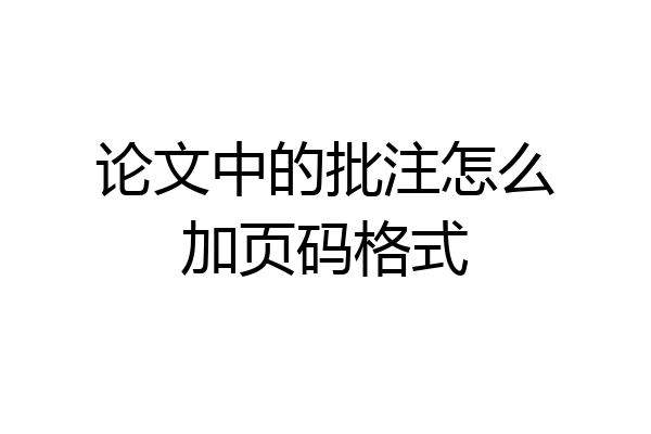 论文中的批注怎么加页码格式