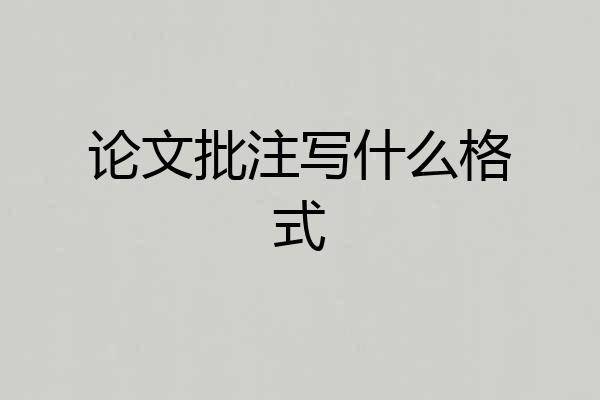 论文批注写什么格式