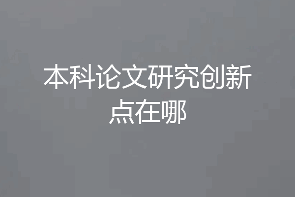 本科论文研究创新点在哪