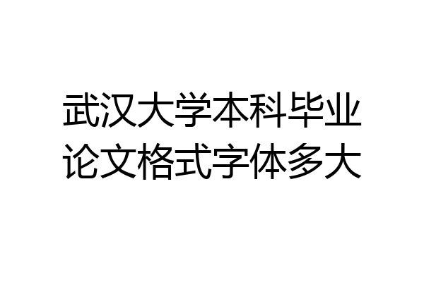 武汉大学本科毕业论文格式字体多大
