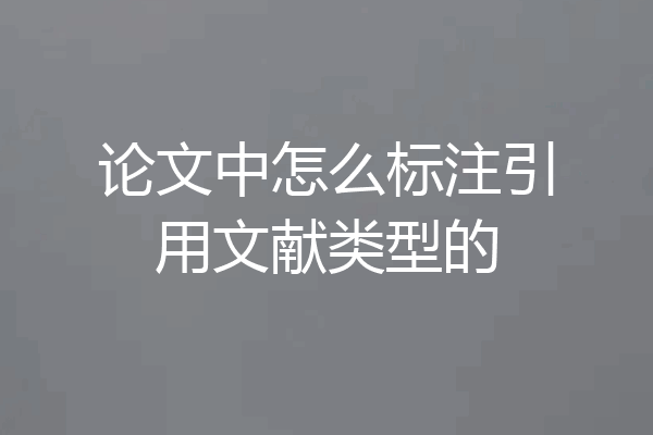 论文中怎么标注引用文献类型的