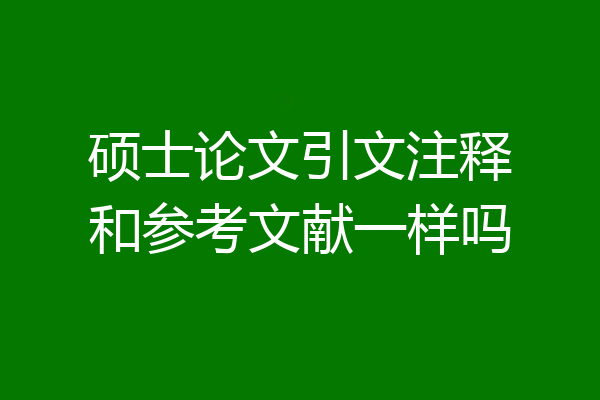 硕士论文引文注释和参考文献一样吗