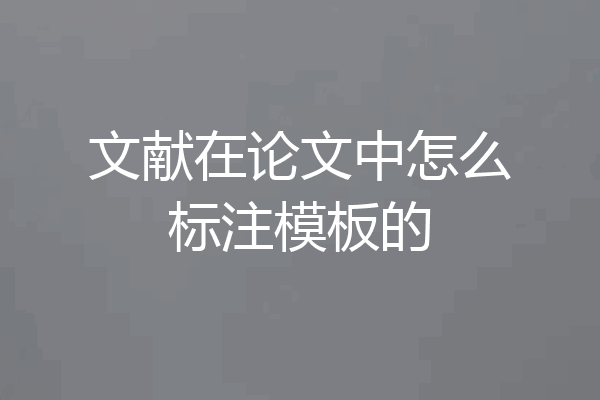 文献在论文中怎么标注模板的