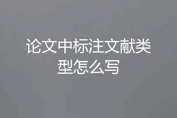论文中标注文献类型怎么写