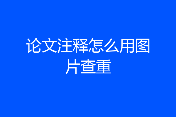 论文注释怎么用图片查重