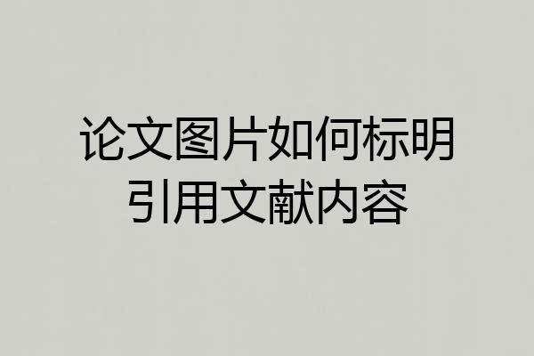 论文图片如何标明引用文献内容