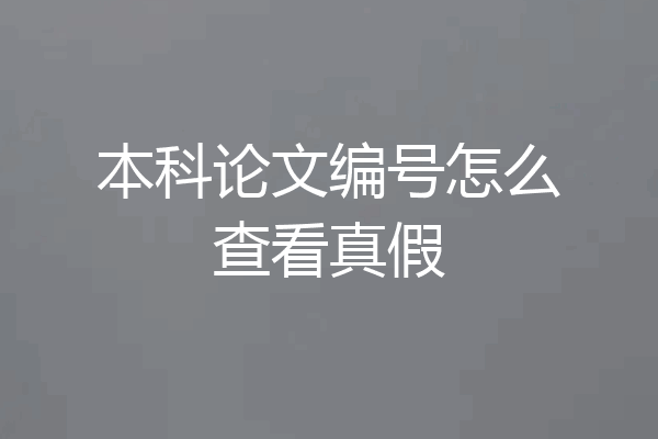 本科论文编号怎么查看真假