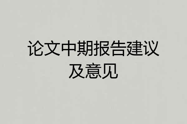论文中期报告建议及意见