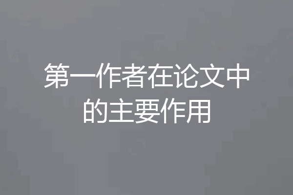 第一作者在论文中的主要作用