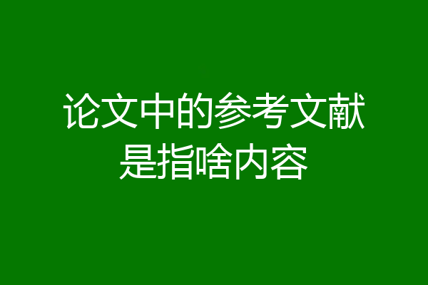 论文中的参考文献是指啥内容