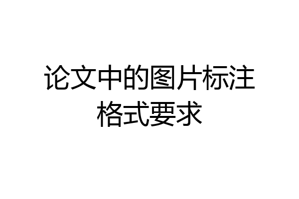 论文中的图片标注格式要求