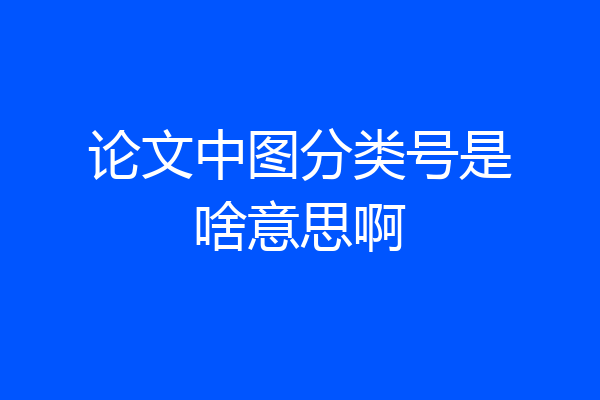论文中图分类号是啥意思啊