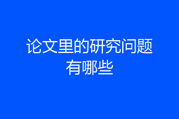 论文里的研究问题有哪些