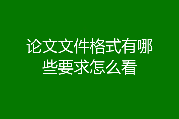 论文文件格式有哪些要求怎么看
