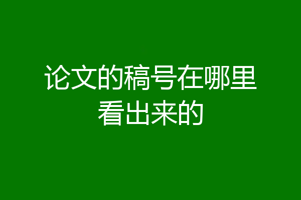 论文的稿号在哪里看出来的