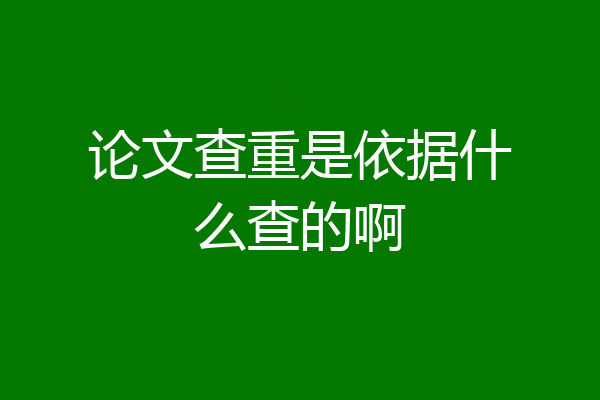 论文查重是依据什么查的啊