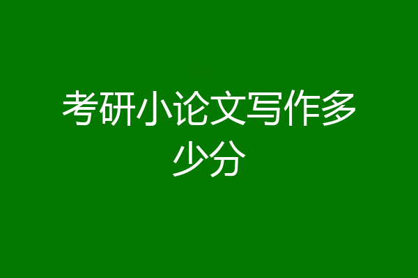 考研小论文写作多少分