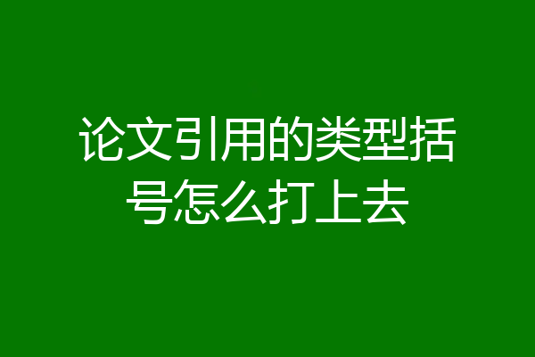 论文引用的类型括号怎么打上去