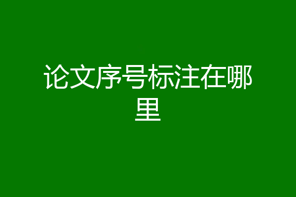 论文序号标注在哪里
