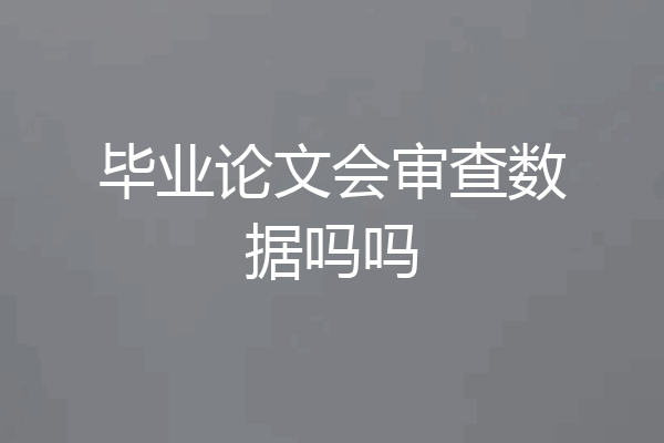 毕业论文会审查数据吗吗