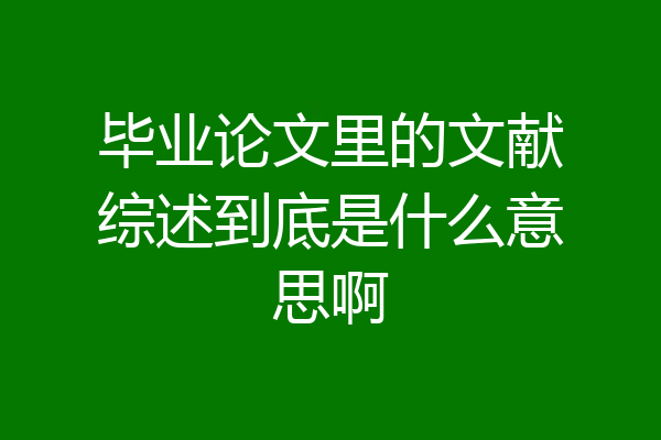 毕业论文里的文献综述到底是什么意思啊
